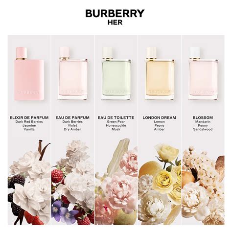 burberry her london dream eau de parfum details|Burberry Her London dream 30ml.